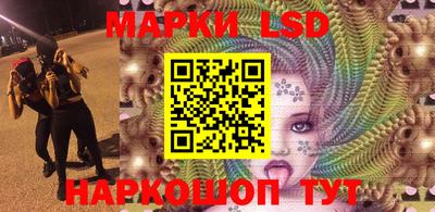 крисы Абакан