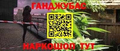 крисы Абакан