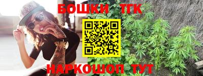крисы Абакан