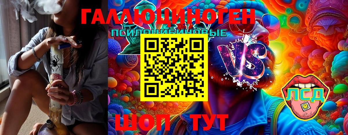 Псилоцибиновые грибы Psilocybe Алатырь