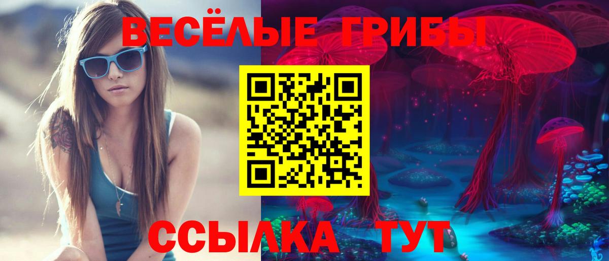 Псилоцибиновые грибы мицелий  Вход с VPN  Алатырь  Псилоцибиновые грибы GOLDEN TEACHER 
